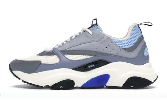 Dior b 22